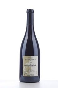 france-bourgogne-wine-gevrey-chambertin-2006